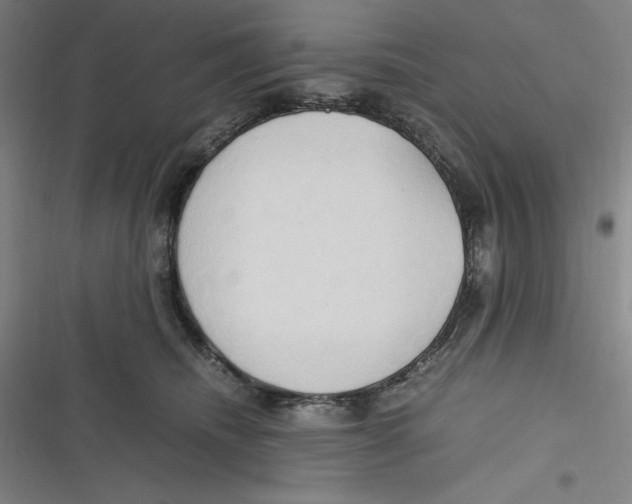 X0000116680468201001111335