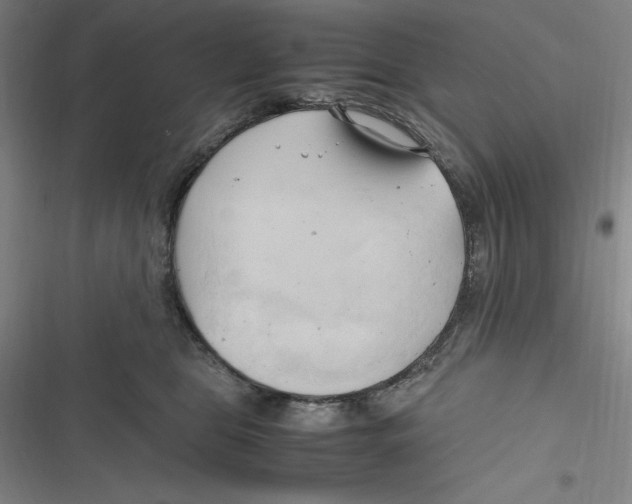 X0000116680469201001111335