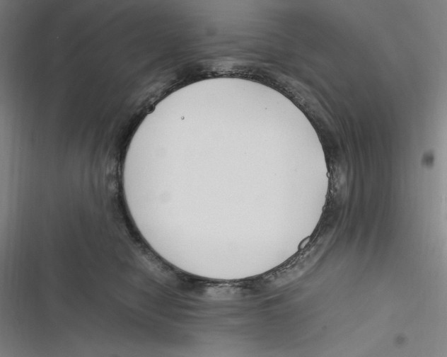 X0000116680470201001111335