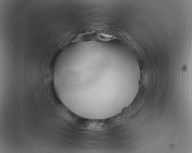 X0000116680471201001111335