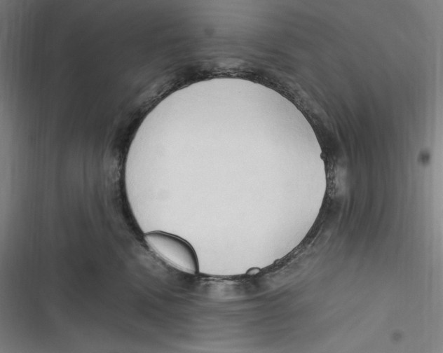 X0000116680472201001111335