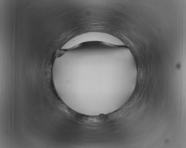 X0000116680475201001111335