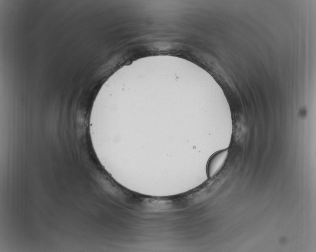 X0000116680476201001111335