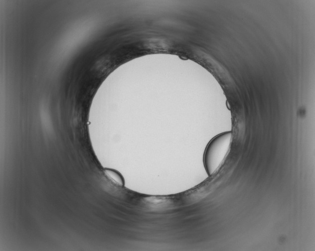 X0000116680477201001111335