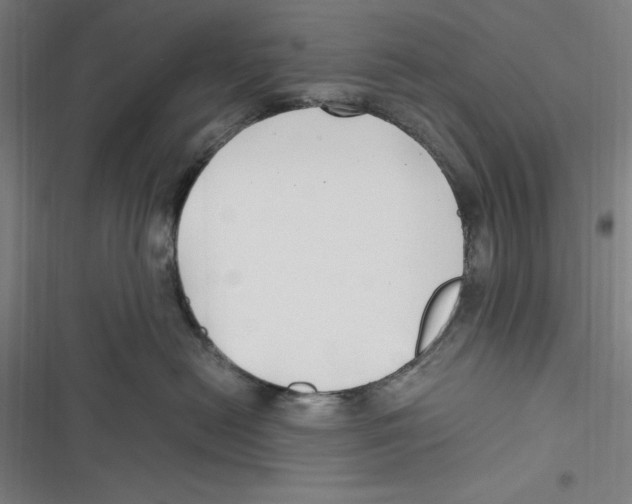 X0000116680478201001111335