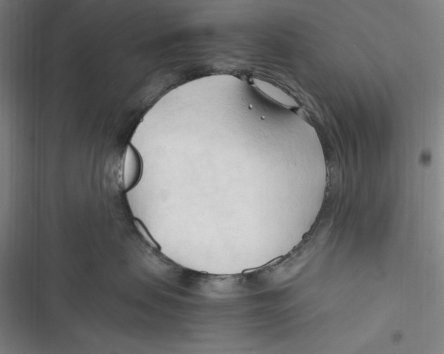 X0000116680479201001111335