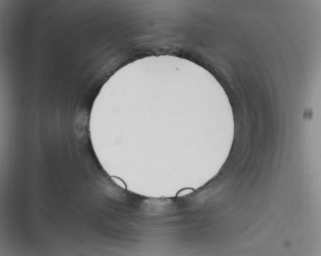 X0000116680480201001111335