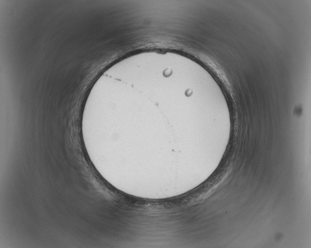 X0000116680481201001111335