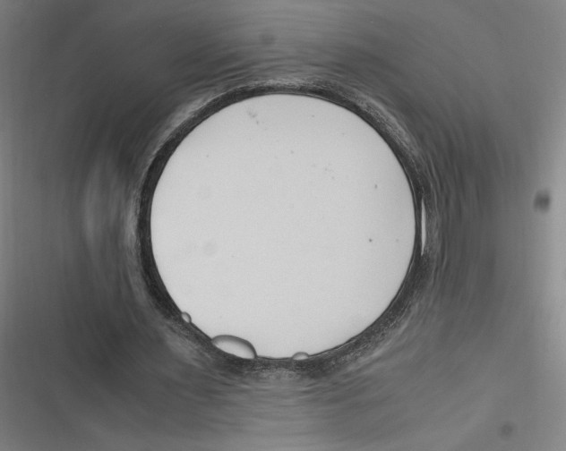 X0000116680483201001111335