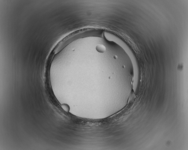 X0000116680484201001111335