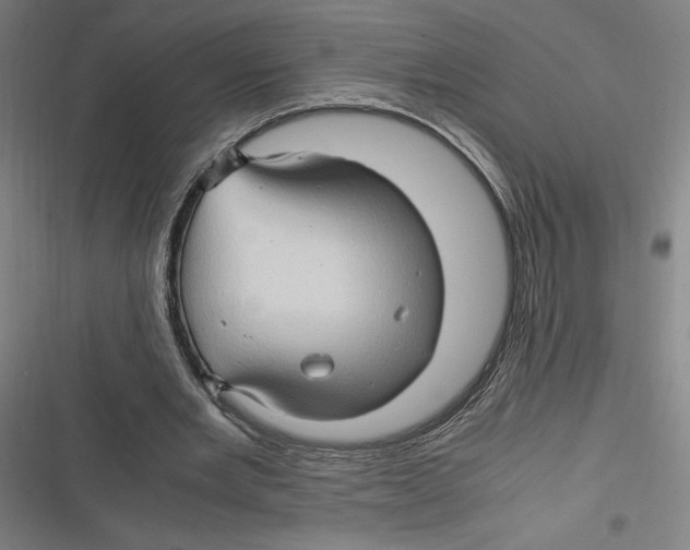 X0000116680485201001111335