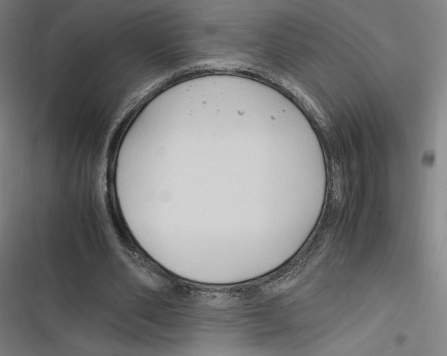 X0000116680486201001111335