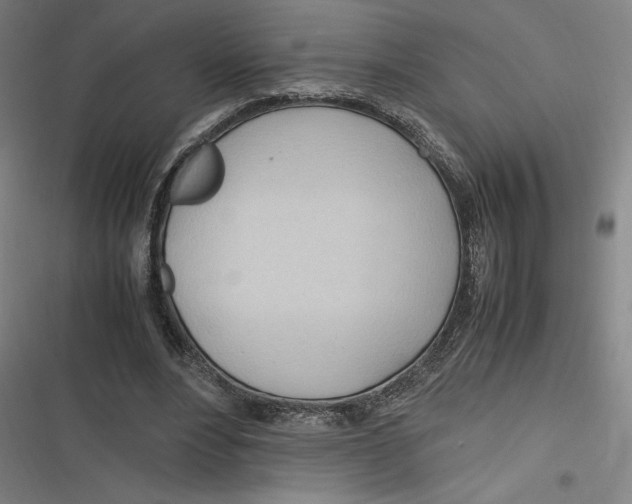 X0000116680488201001111335