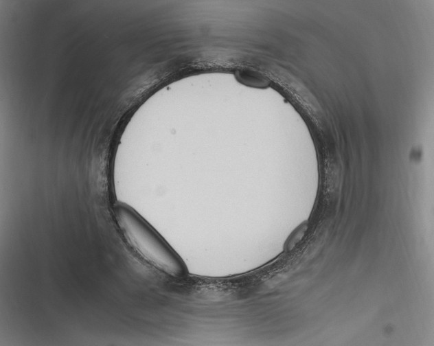 X0000116680489201001111335