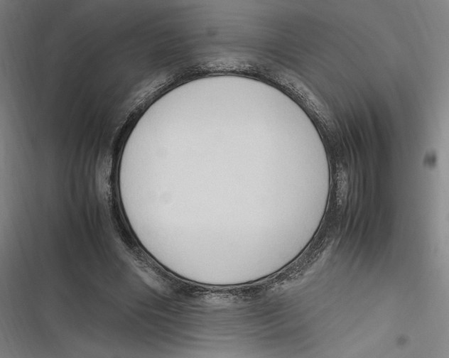 X0000116680490201001111335