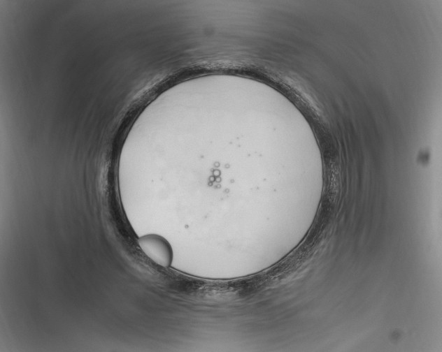 X0000116680491201001111335