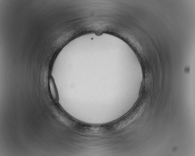 X0000116680493201001111335