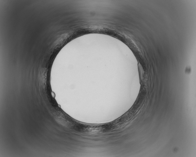 X0000116680495201001111335