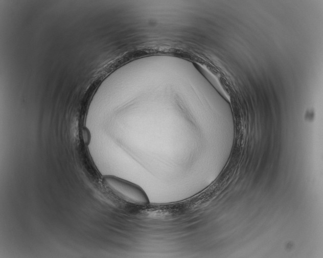 X0000116680500201001111335