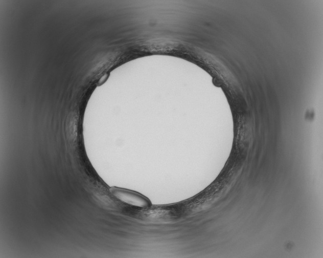 X0000116680501201001111335