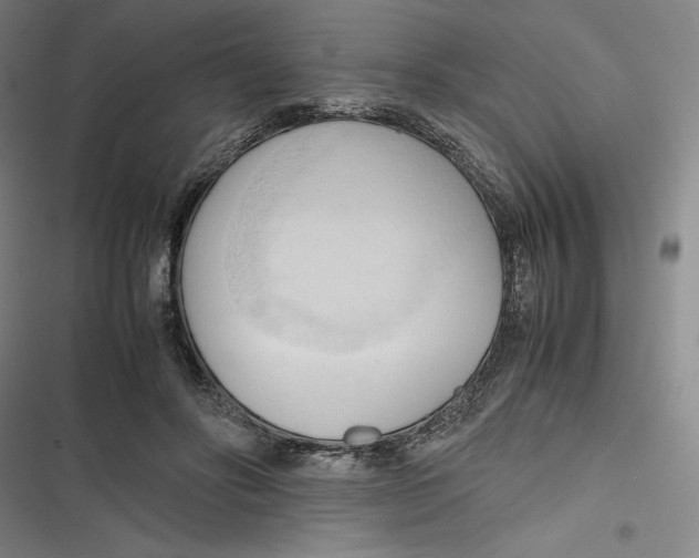 X0000116680502201001111335