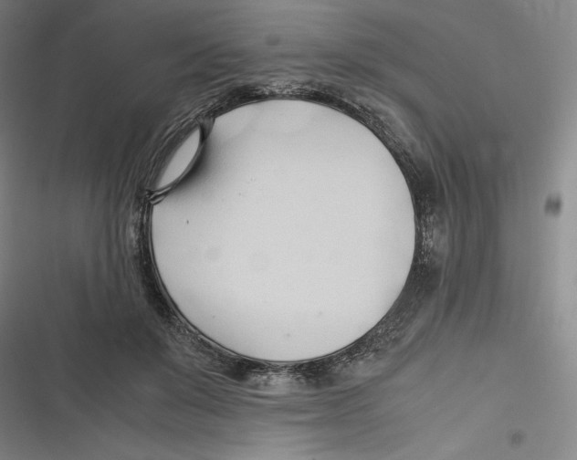 X0000116680503201001111335