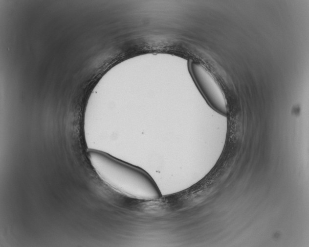 X0000116680505201001111334