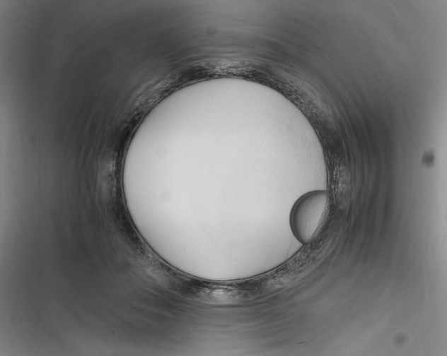 X0000116680506201001111334