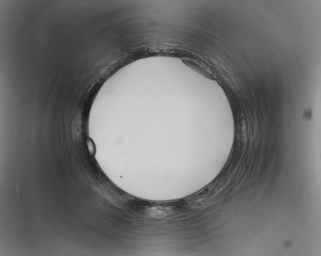 X0000116680508201001111334