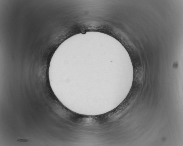 X0000116680509201001111334