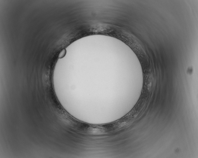 X0000116680510201001111334