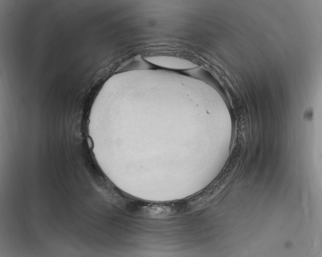 X0000116680512201001111334