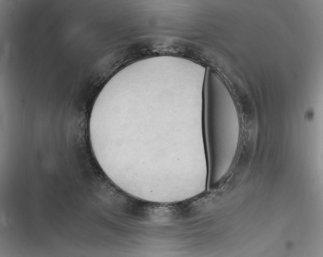 X0000116680513201001111334