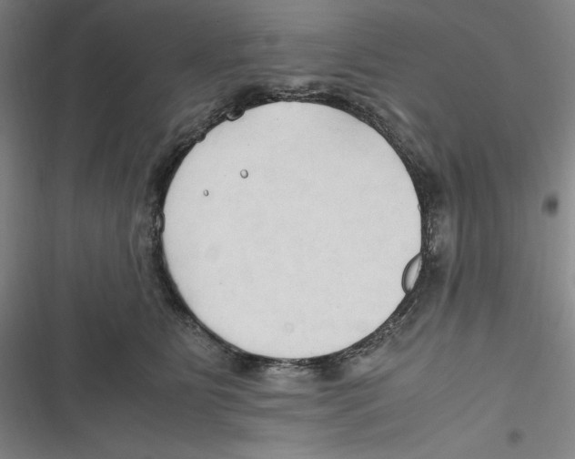 X0000116680515201001111334