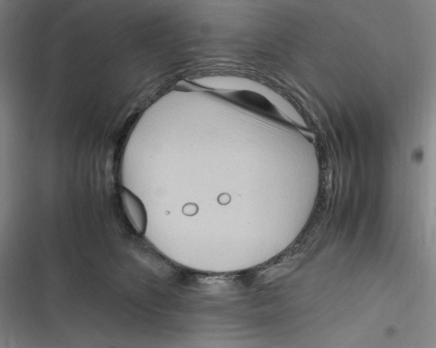 X0000116680516201001111334