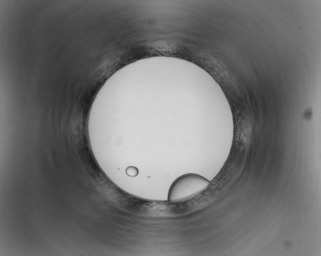 X0000116680518201001111334