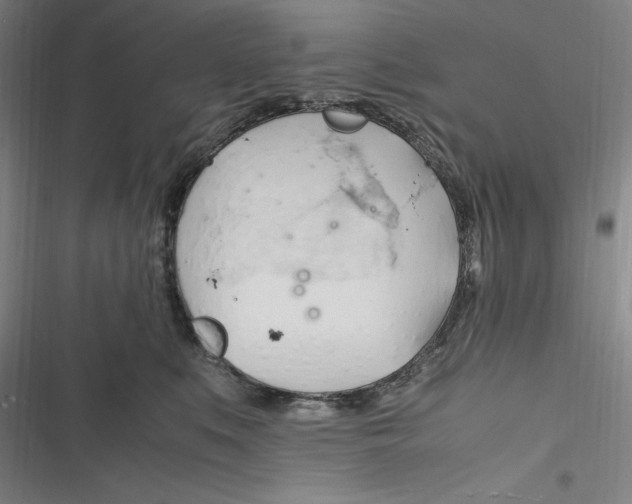 X0000116680519201001111334