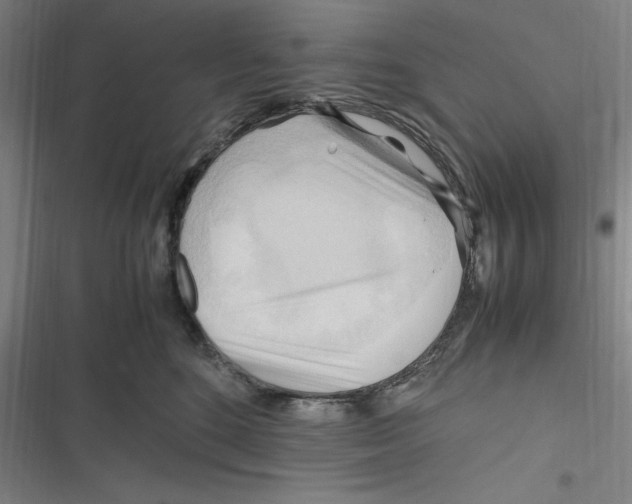 X0000116680520201001111334