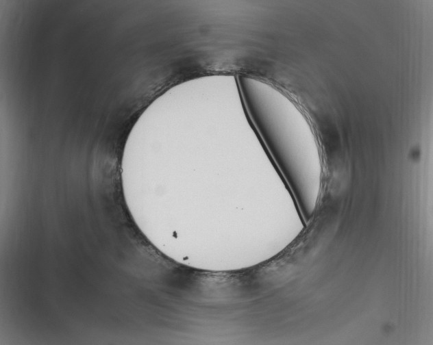 X0000116680521201001111334