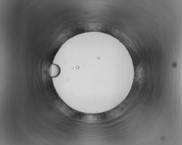 X0000116680522201001111334