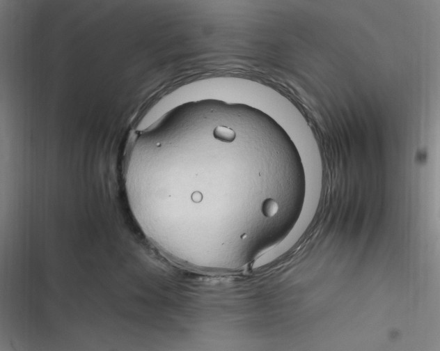 X0000116680524201001111334