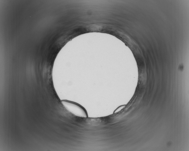 X0000116680525201001111334