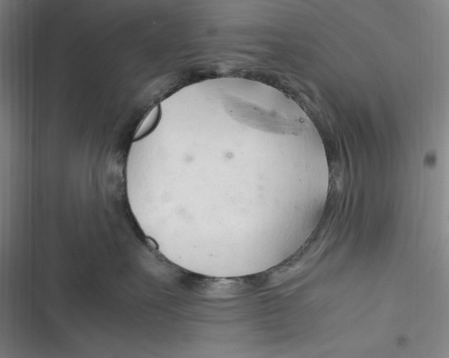 X0000116680527201001111334