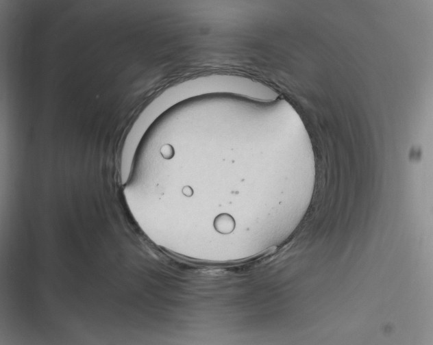 X0000116680528201001111334