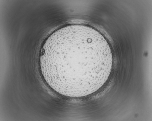 X0000116680529201001111334