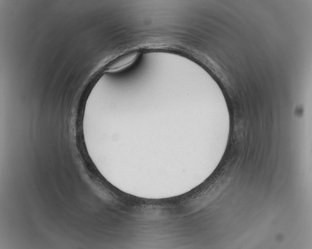 X0000116680530201001111334