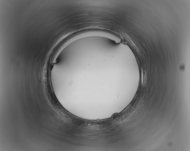 X0000116680531201001111334