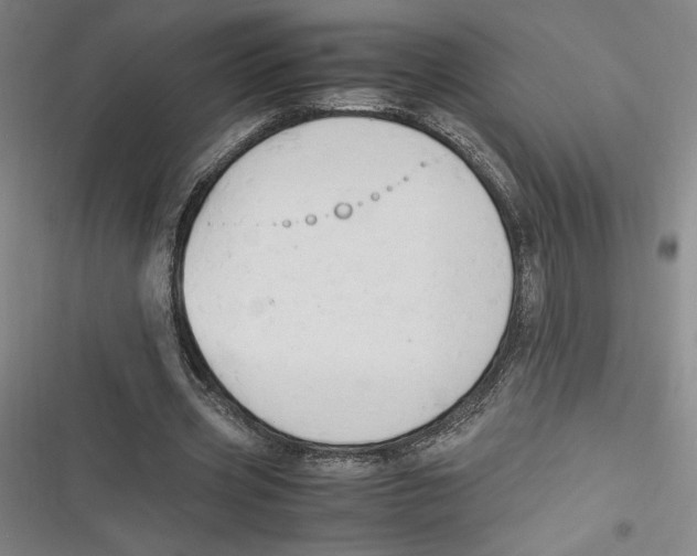 X0000116680533201001111334