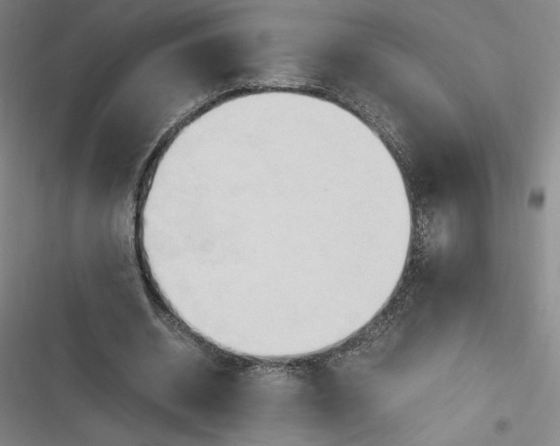 X0000116680534201001111334