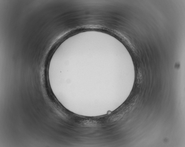 X0000116680535201001111334